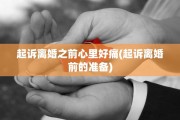 起诉离婚之前心里好痛(起诉离婚前的准备)