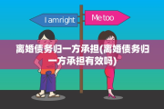 离婚债务归一方承担(离婚债务归一方承担有效吗)