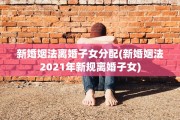 新婚姻法离婚子女分配(新婚姻法2021年新规离婚子女)