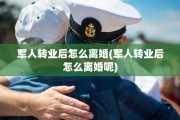 军人转业后怎么离婚(军人转业后怎么离婚呢)