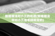 新婚姻法对小三的处理(新婚姻法中对小三是怎样规定的)