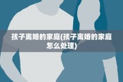 孩子离婚的家庭(孩子离婚的家庭怎么处理)