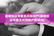离婚协议写着无共同财产(离婚协议写着无共同财产有效吗)