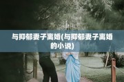 与抑郁妻子离婚(与抑郁妻子离婚的小说)