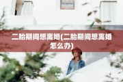 二胎期间想离婚(二胎期间想离婚怎么办)