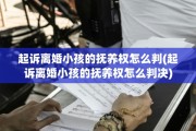 起诉离婚小孩的抚养权怎么判(起诉离婚小孩的抚养权怎么判决)