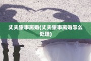 丈夫肇事离婚(丈夫肇事离婚怎么处理)