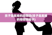 孩子是离婚的障碍吗(孩子是离婚的障碍吗知乎)
