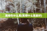 离婚在什么离(离婚什么离最好)