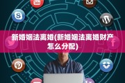 新婚姻法离婚(新婚姻法离婚财产怎么分配)