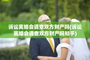 诉讼离婚会调查双方财产吗(诉讼离婚会调查双方财产吗知乎)