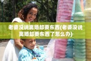 老婆没说离婚却要东西(老婆没说离婚却要东西了怎么办)