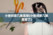 小爸妈第几集离婚(小爸妈第几集离婚了)
