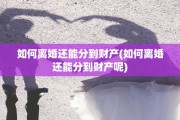 如何离婚还能分到财产(如何离婚还能分到财产呢)