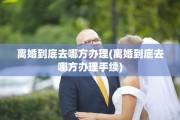 离婚到底去哪方办理(离婚到底去哪方办理手续)