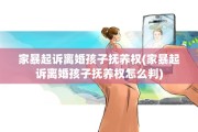 家暴起诉离婚孩子抚养权(家暴起诉离婚孩子抚养权怎么判)