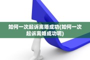 如何一次起诉离婚成功(如何一次起诉离婚成功呢)