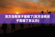 双方没有孩子离婚了(双方没有孩子离婚了怎么办)