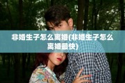 非婚生子怎么离婚(非婚生子怎么离婚最快)