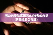 老公欠贷款离婚怎么办(老公欠贷款离婚怎么办理)