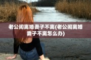 老公闹离婚妻子不离(老公闹离婚妻子不离怎么办)
