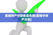 离婚财产分割各自负担(离婚中财产分割)