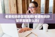 老婆和妈吵架想离婚(老婆和妈吵架想离婚怎么办)