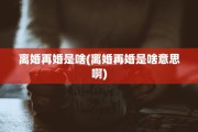 离婚再婚是啥(离婚再婚是啥意思啊)