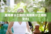 离婚要分土地吗(离婚要分土地吗女方)