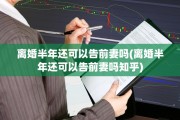 离婚半年还可以告前妻吗(离婚半年还可以告前妻吗知乎)