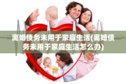 离婚债务未用于家庭生活(离婚债务未用于家庭生活怎么办)