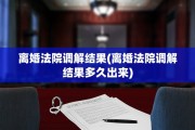 离婚法院调解结果(离婚法院调解结果多久出来)
