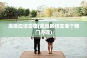 离婚应该去哪(离婚应该去哪个部门办理)