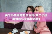 两个小孩离婚怎么安排(两个小孩离婚怎么安排抚养费)