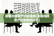 离婚共同房产分割案例(离婚共同房产分割案例分析)