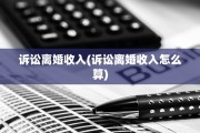诉讼离婚收入(诉讼离婚收入怎么算)
