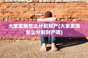 大家离婚怎么分割财产(大家离婚怎么分割财产呢)