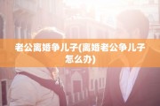 老公离婚争儿子(离婚老公争儿子怎么办)