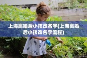 上海离婚后小孩改名字(上海离婚后小孩改名字流程)