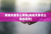 再婚夫妻怎么离婚(再婚夫妻怎么离婚最快)