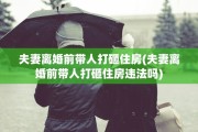 夫妻离婚前带人打砸住房(夫妻离婚前带人打砸住房违法吗)