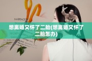 想离婚又怀了二胎(想离婚又怀了二胎怎办)