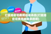 打离婚官司费用由谁承担(打离婚官司费用由谁承担呢)