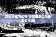 想离婚车怎么办(要离婚怎么处理车的问题)