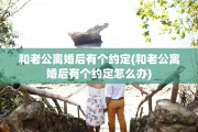 和老公离婚后有个约定(和老公离婚后有个约定怎么办)