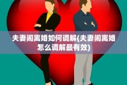 夫妻闹离婚如何调解(夫妻闹离婚怎么调解最有效)