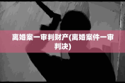 离婚案一审判财产(离婚案件一审判决)