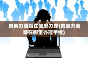 自愿办离婚在哪里办理(自愿办离婚在哪里办理手续)