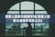 想男人回家办离婚手续(想男人回家办离婚手续怎么办)