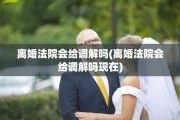 离婚法院会给调解吗(离婚法院会给调解吗现在)